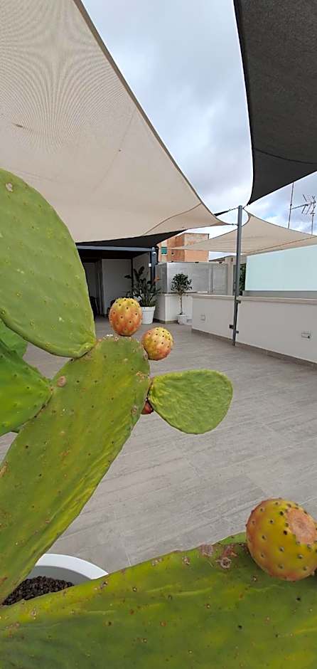 MY HOUSE LUXURY HOME