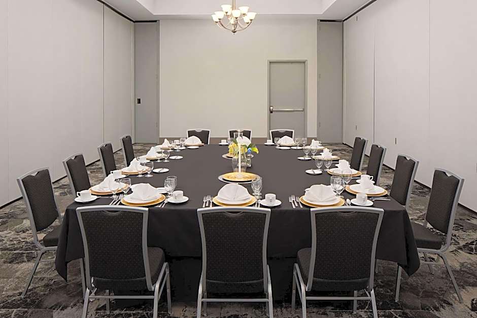 Hilton Garden Inn Dfw Airport South