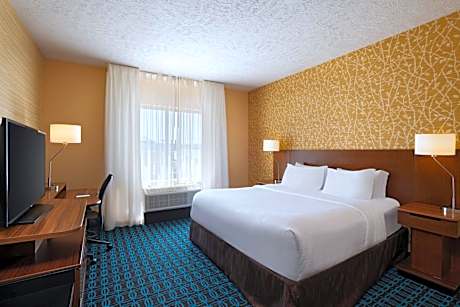 Room, 1 King Bed