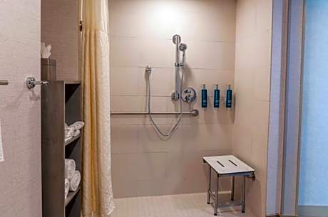 Double Room - Mobility Access Tub/Non-Smoking