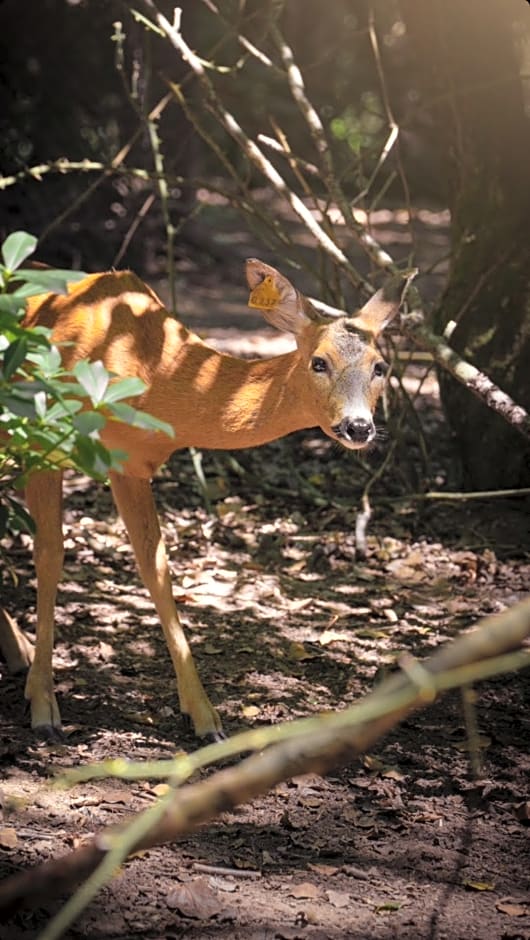 Polonezköy Country Club