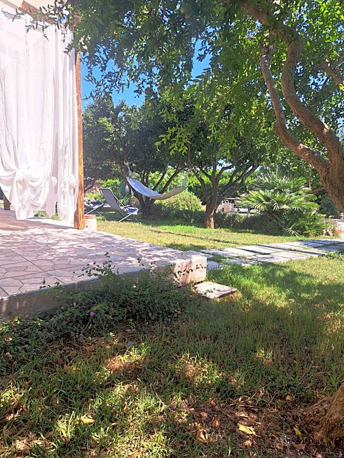 B&B Piccolo Vigneto
