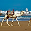 Riad Dar L'Oussia & SPA