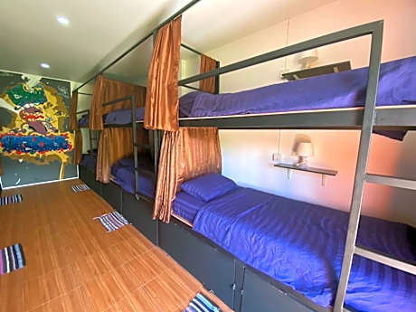 Bunk Bed in Mixed Dormitory Room