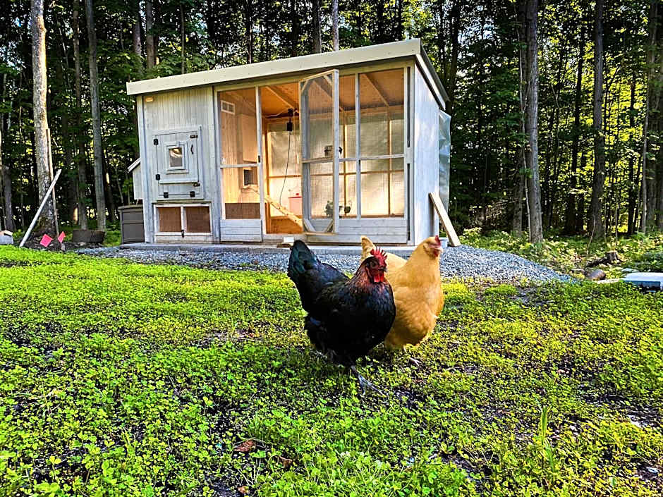 Le Camp Caché Shefford