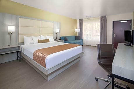 1 King Bed Deluxe Room Non-Smoking