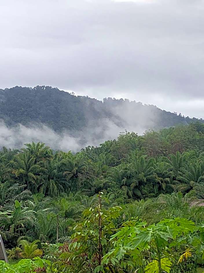 สวนลุงวรRanongGlamping