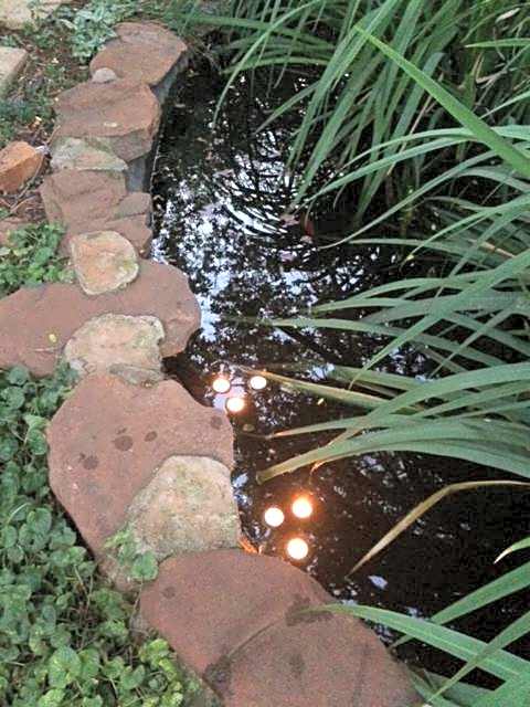 Woodpecker Guesthouse Middelburg Mpumalanga