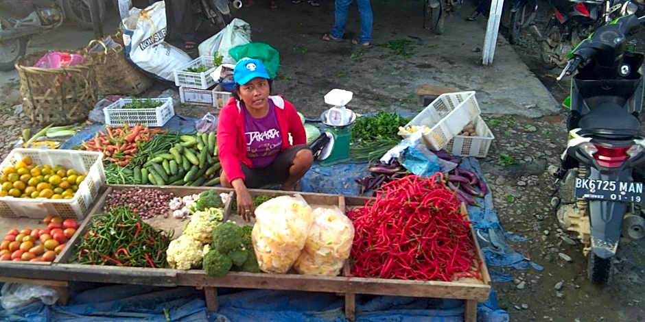 Green Forest Tangkahan
