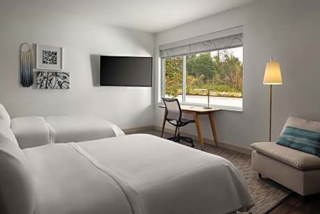 Queen Studio with Two Queen Beds and Sofa Bed