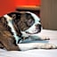 Ibis Styles Glasgow Central