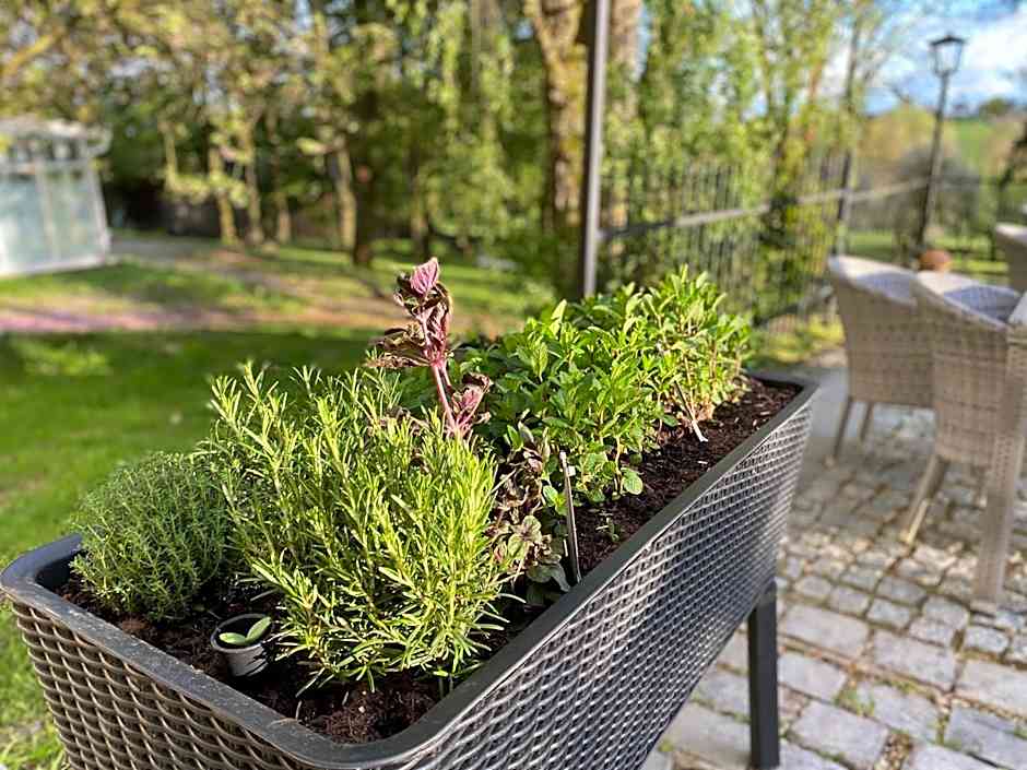 AquaQuell Bad Pilzweg