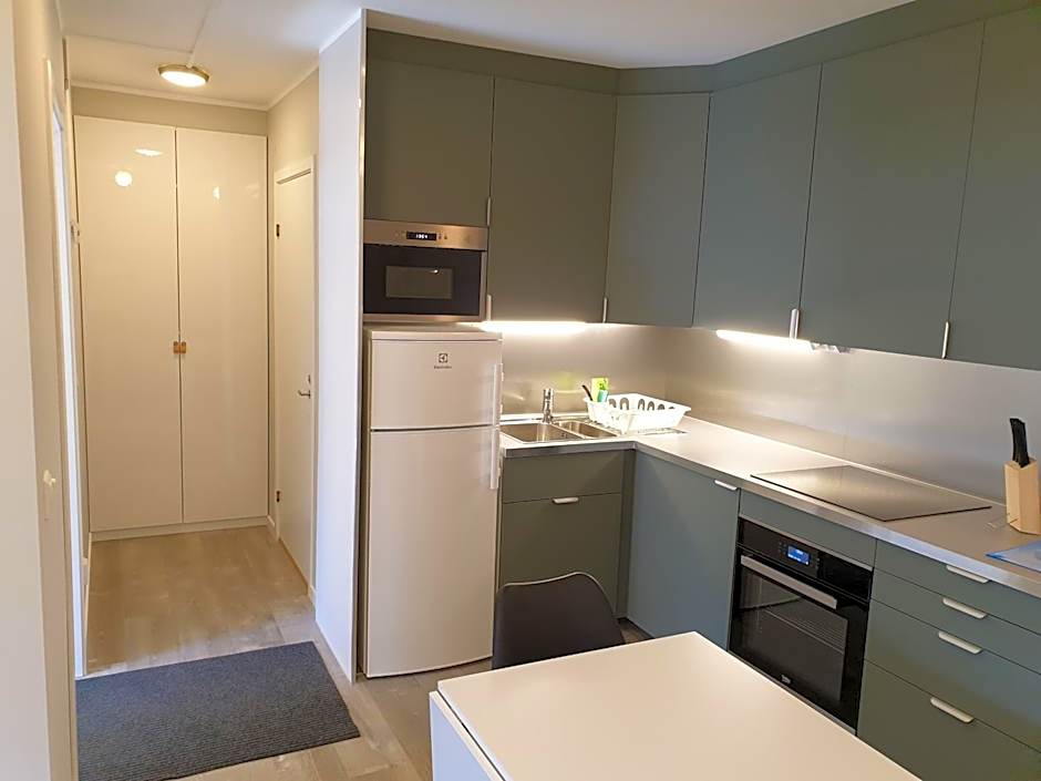 Adelsgatan 36 lägenhetshotell, Gotland Living and Meeting