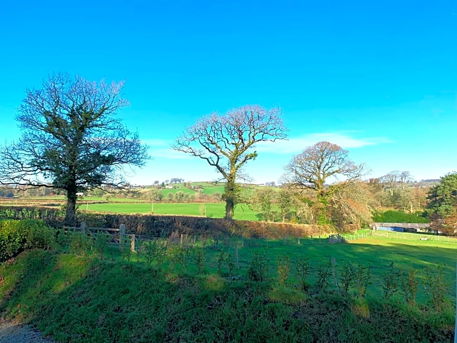Stunning Shepherds Hut with Superb Views & Fire Pit near a Superb Gastro Pub