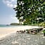 Greenplace-Samed Seahorse