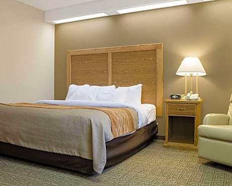 Queen Room - Non-Smoking