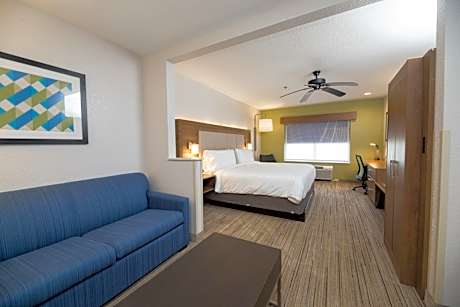 One-Bedroom King Suite