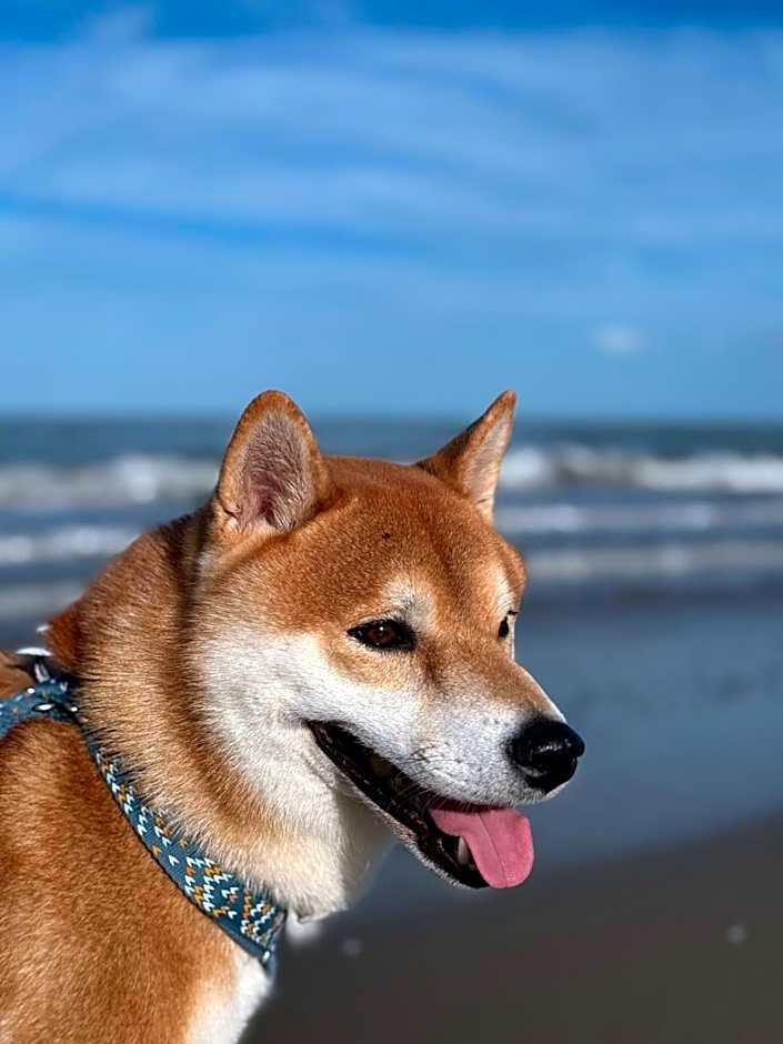 G House Rimini Spiaggia