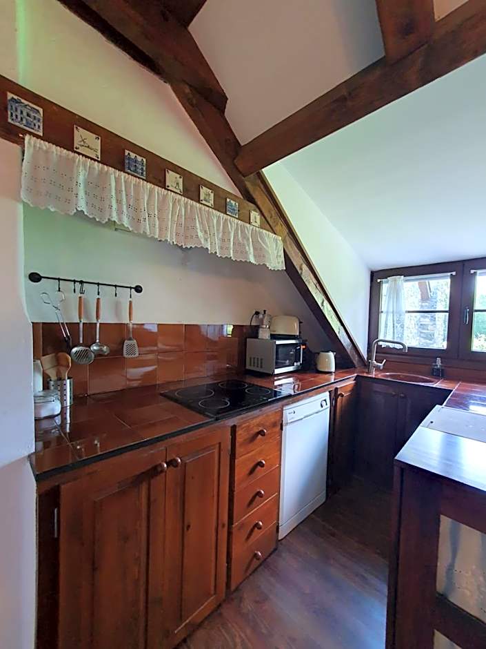 Acogedor apartamento de montaña con jardín y piscina - VU-HUESCA-23-182