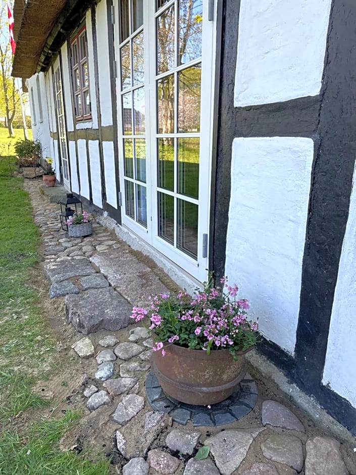 Bækgaardens bed and breakfast
