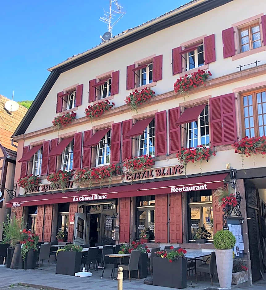 Hotel SPA Au Cheval Blanc