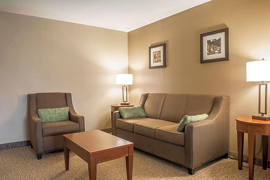 Comfort Inn Edinburg South