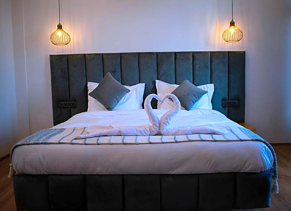 Silver fern by the Hillside