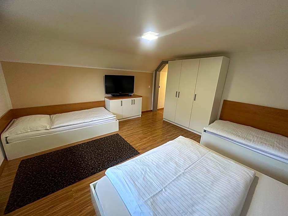 Domačija Vodnik & Apartments