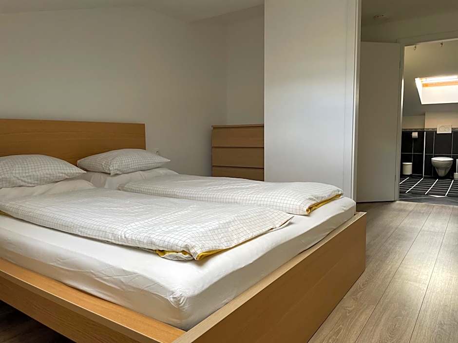 All Seasons Apartments Laško