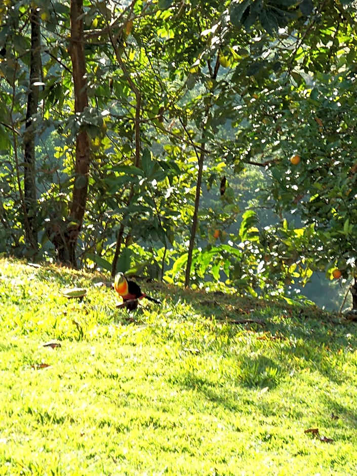 Pousada Alto do Morro