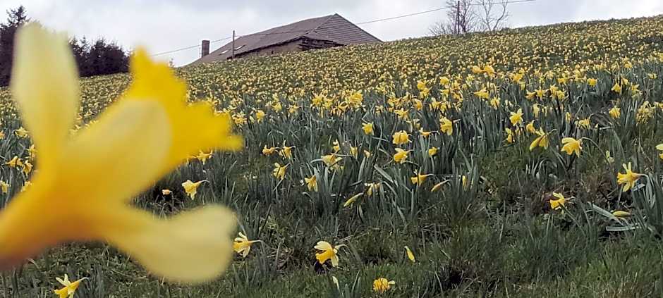 VVF Haute Loire Saint-Julien-Chapteuil