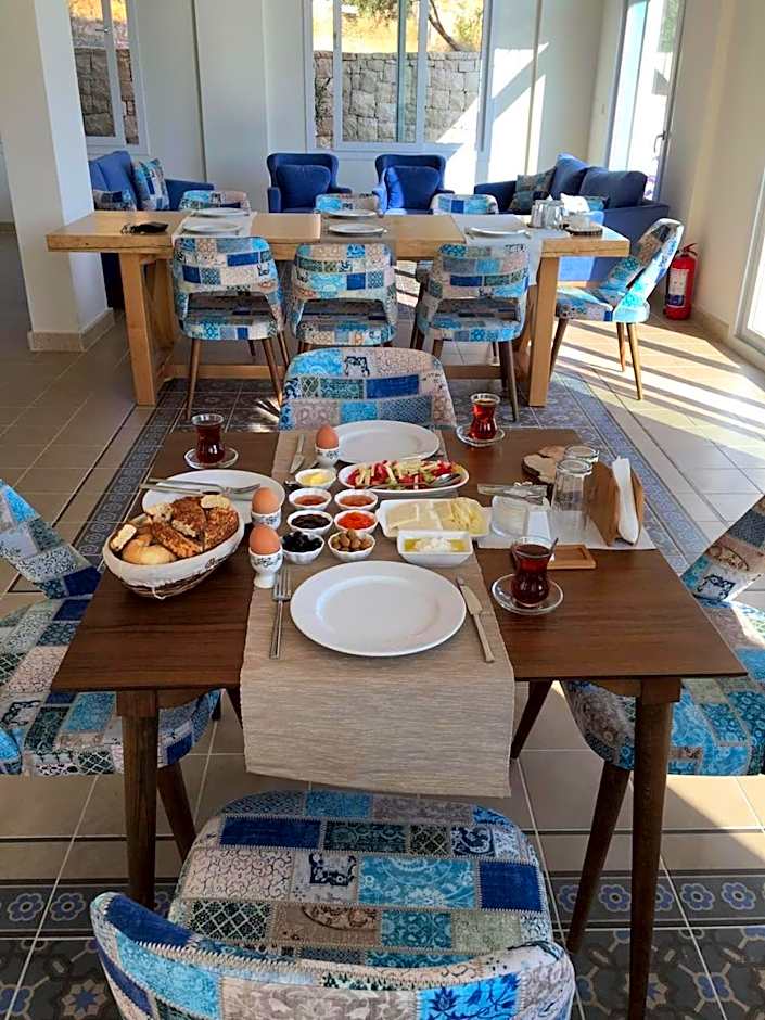 Clementin Suits Sigacık