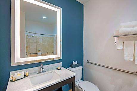 Deluxe King Suite - Non-Smoking