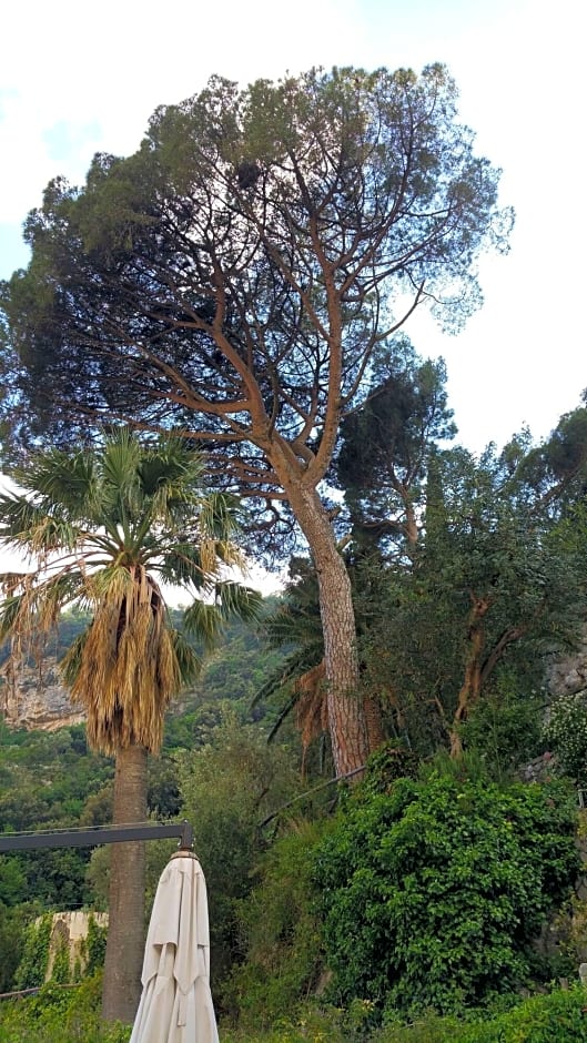 Hotel Villa Annalara