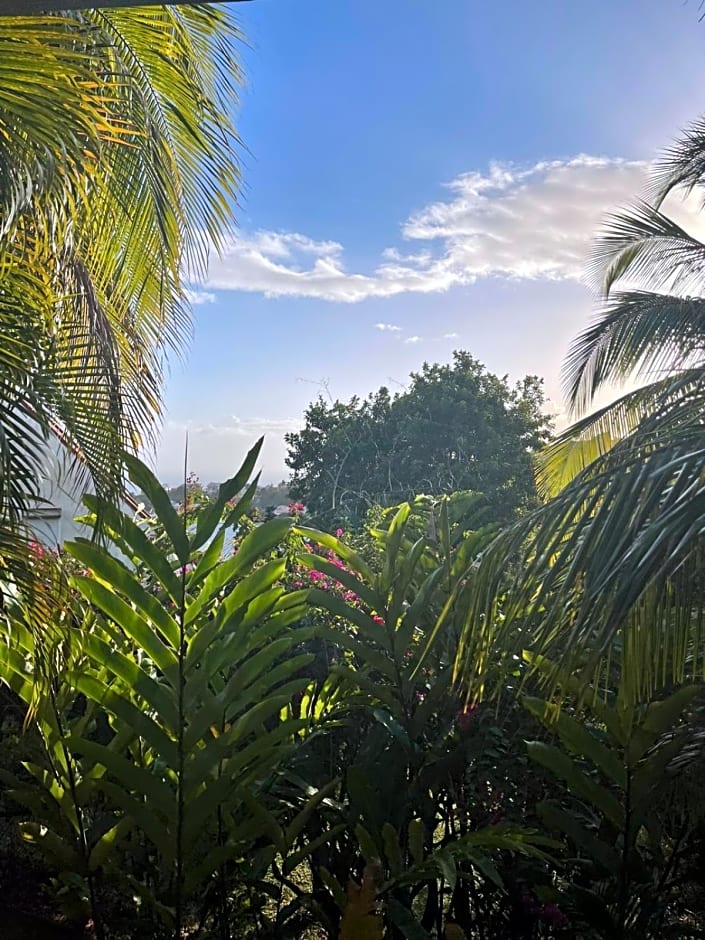Chambre d'hôte et Loft dans maison de charme piscine à débordement La Villa Gialla
