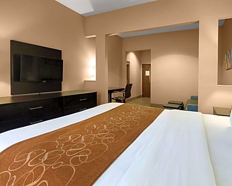 1 King Bed, Suite, Nonsmoking