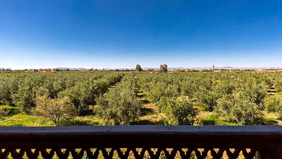 L'OLIVERAIE DE L'ATLAS