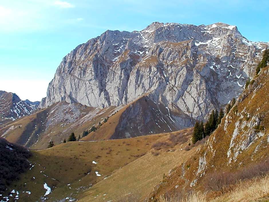 CHAMBRE d'HÔTE LA PETITE BERGERIE