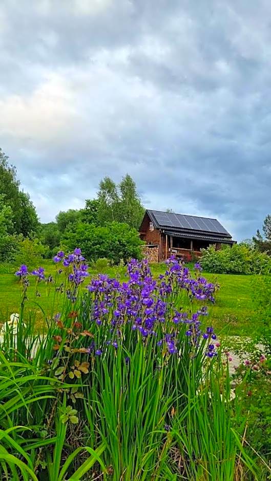 Marzeniec w Beskidzie Niskim