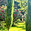 Domaine Au Coeur des Alpilles