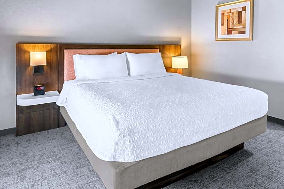 Hampton Inn By Hilton & Suites Abilene I-20 Tx