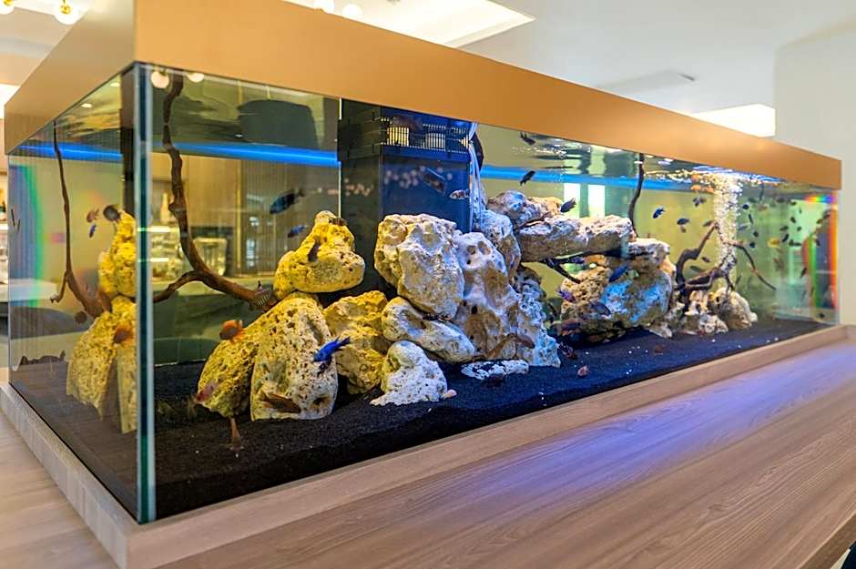 Crowne Plaza Constanta Mamaia Beach By IHG