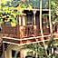 Golden Triangle Palace