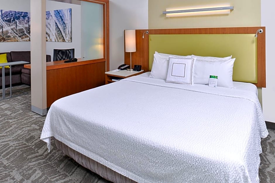 SpringHill Suites by Marriott Detroit Metro Airport Romulus