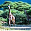 Lake Manyara Serena Safari Lodge
