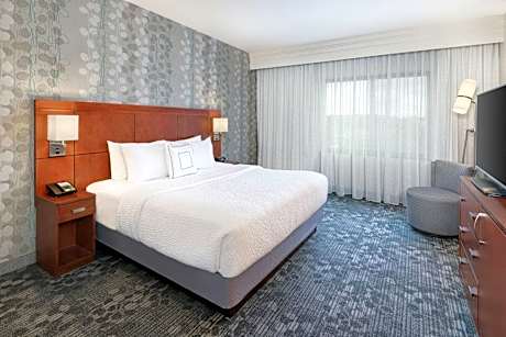 1 Bedroom 2 Room Suite, 1 Bedroom 2 room Suite, 1 King, Sofa bed