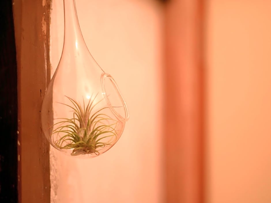 Hakone Guesthouse Toi