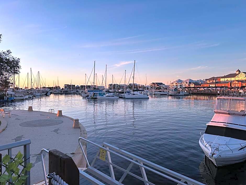 Little Italy Dolphins