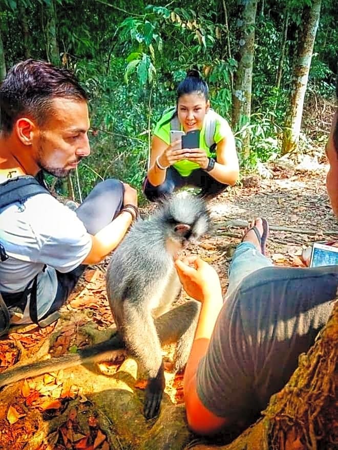 ETALAUSER Jungle Gate EcoResort Bukit Lawang