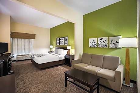 King Room with Sofa Bed - Mobility Accessible/Non-Smoking